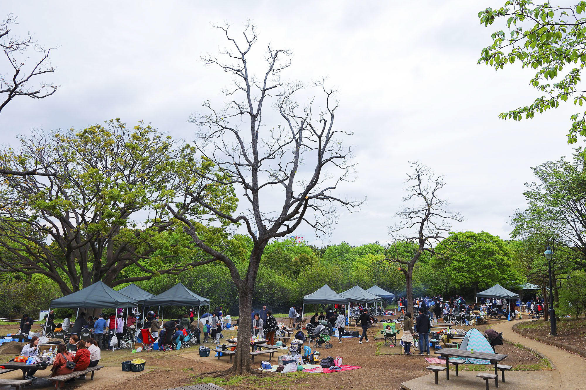 葛西臨海公園バーベキュー2026！手ぶら比較と予約が取れる裏ワザ