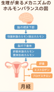 【画像あり】 生理 が 早く 来る 方法 話題のバズ動画・画像 #695