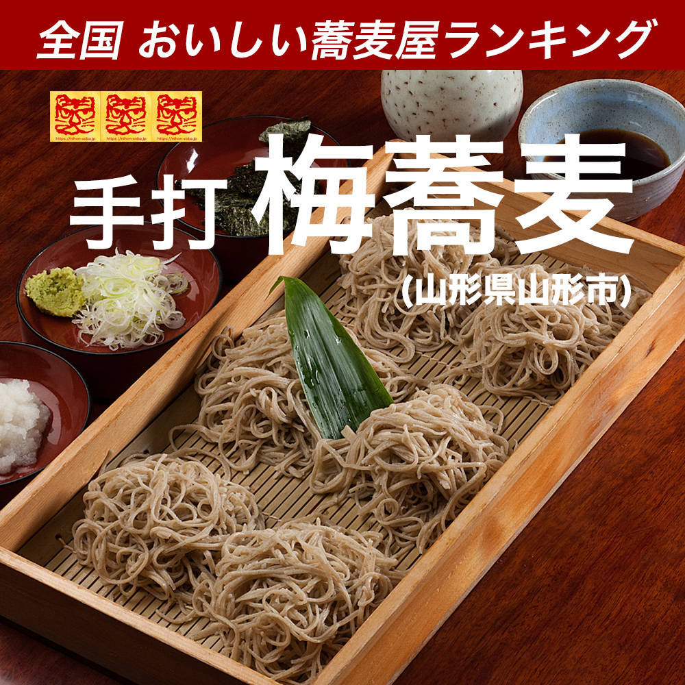 極上の喉越しと酸味！手打ち梅蕎麦の魅力・出汁の黄金比と名店徹底解剖