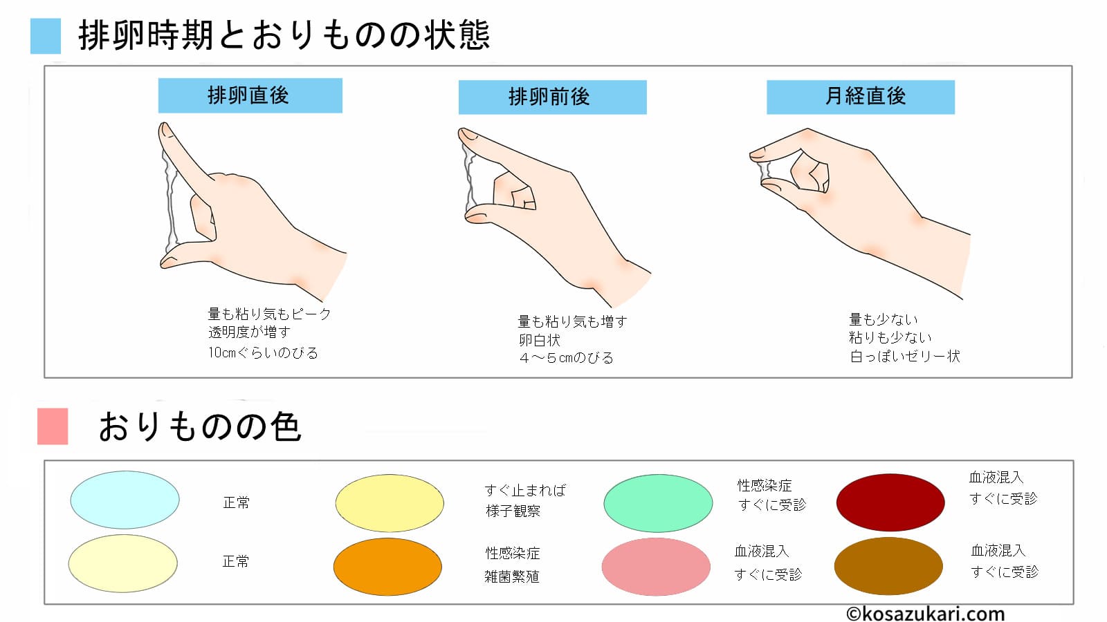 排卵日当日に女の子は無理？噂の確率と産み分けの真相を徹底解説