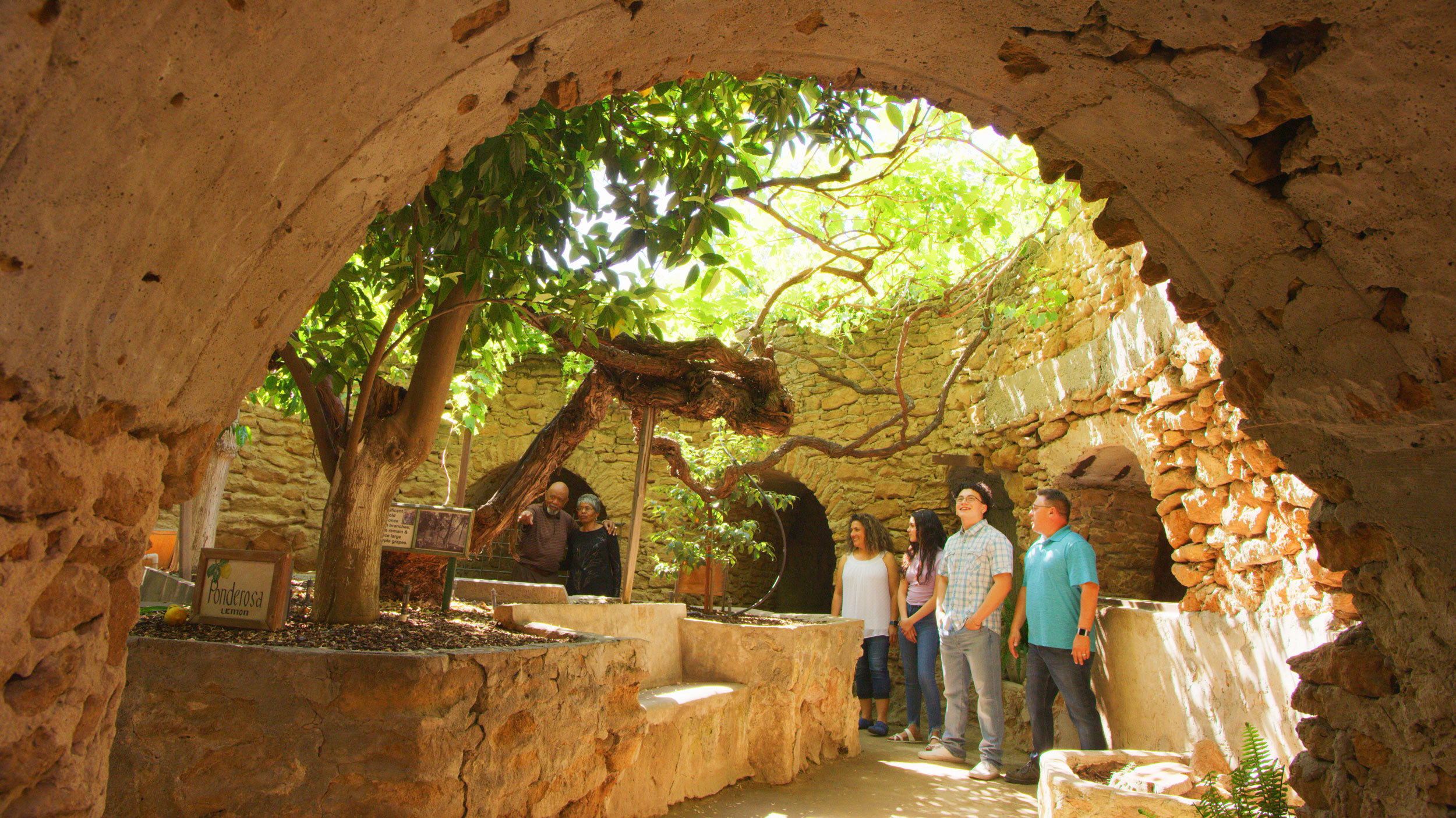 Underground Gardens in Fresno