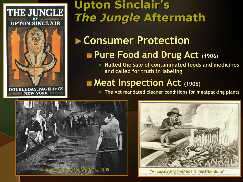 What Was Upton Sinclair's Main Purpose in Writing the Jungle