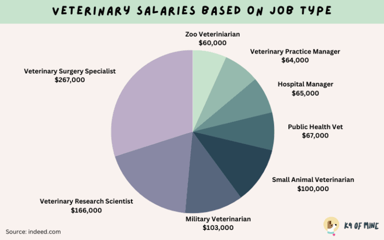 Search Interesting Things About: How Much Does a Veterinarian Make