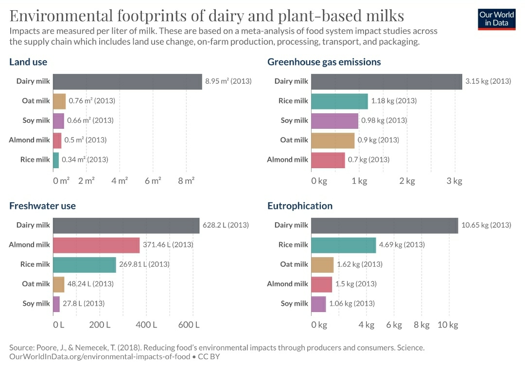 Is Almond Production Bad for the Environment
