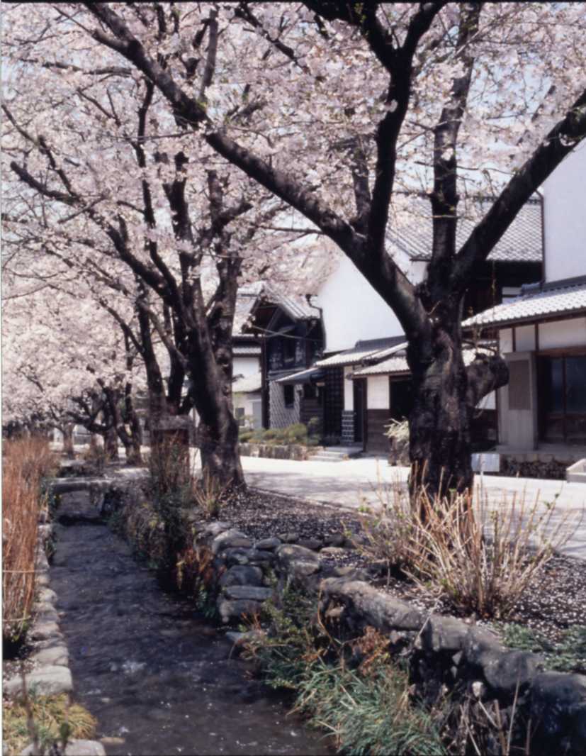 世界遺産・雄川堰はなぜ造られた？小幡城下町と織田信雄が残した水の美観