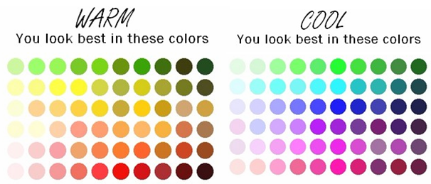 Am I Cool Toned or Warm Toned