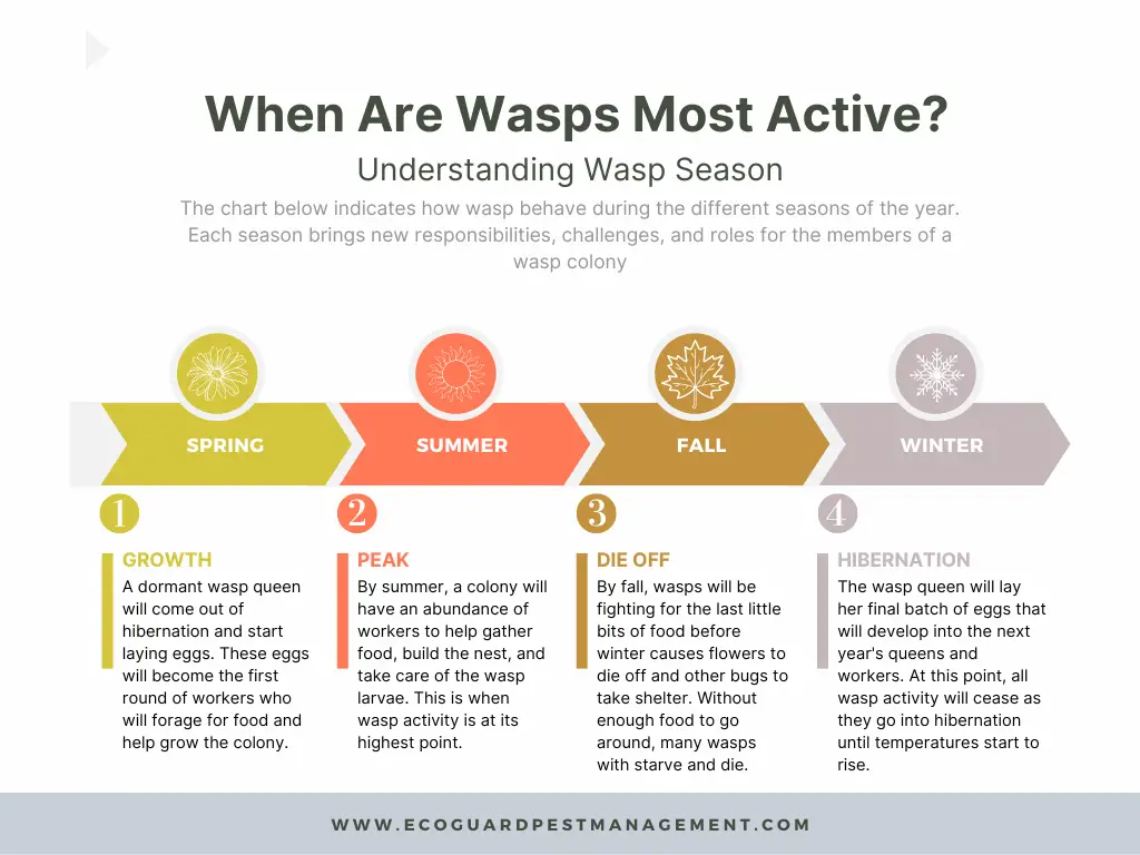 When Is Wasp Season Over