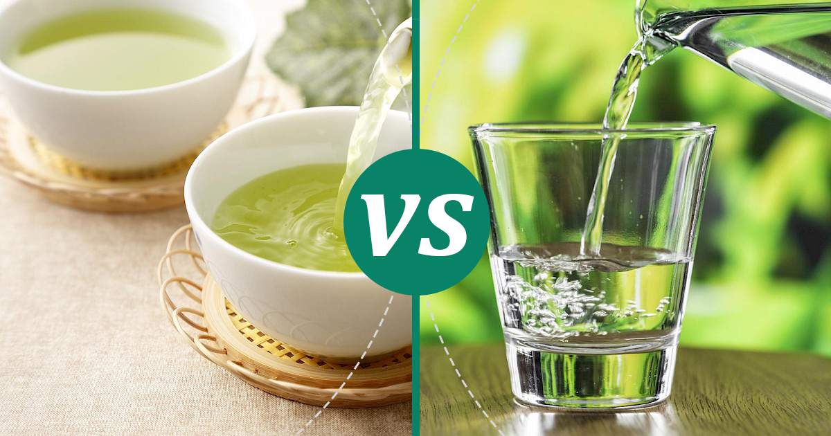 Is Tea the Same as Drinking Water