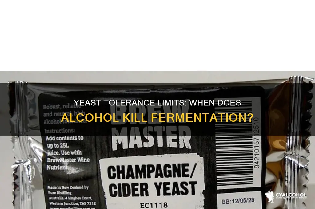 Will Alcohol Kill Yeast