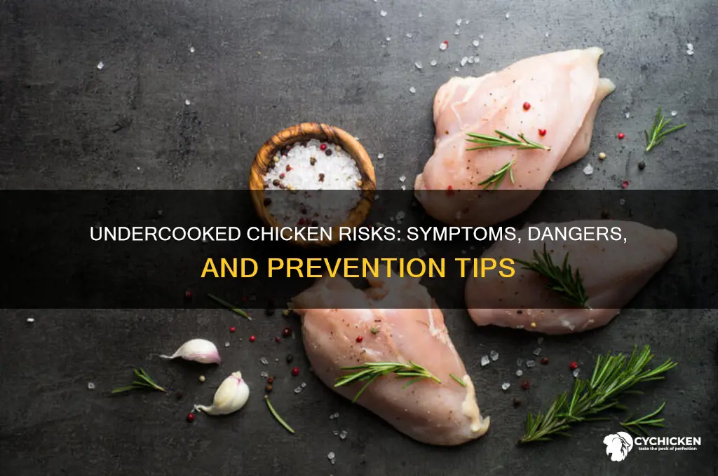 Risks of Eating Undercooked Chicken