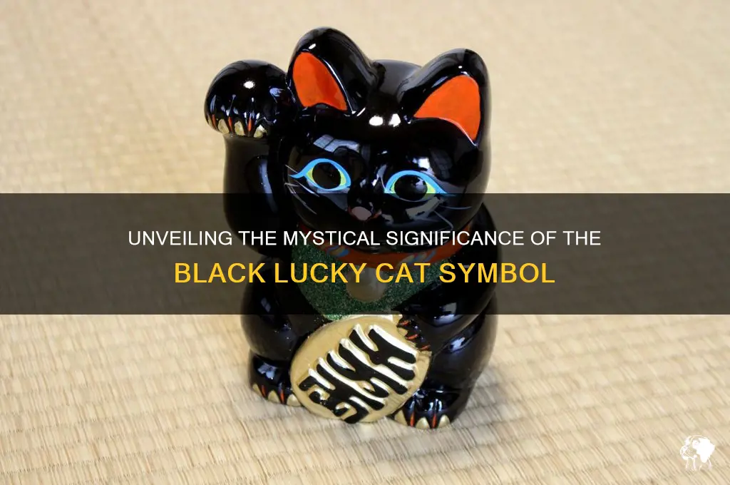 Is a Black Cat Good Luck