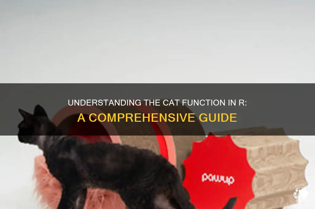 What Does Cat in R Mean