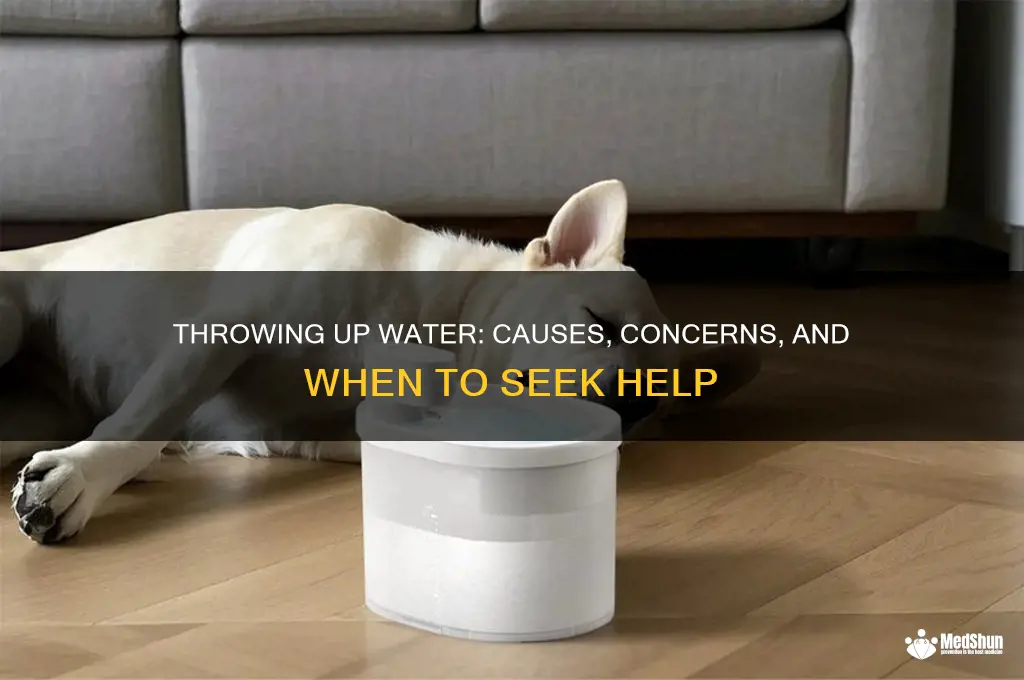 What Does Throwing up Water Mean