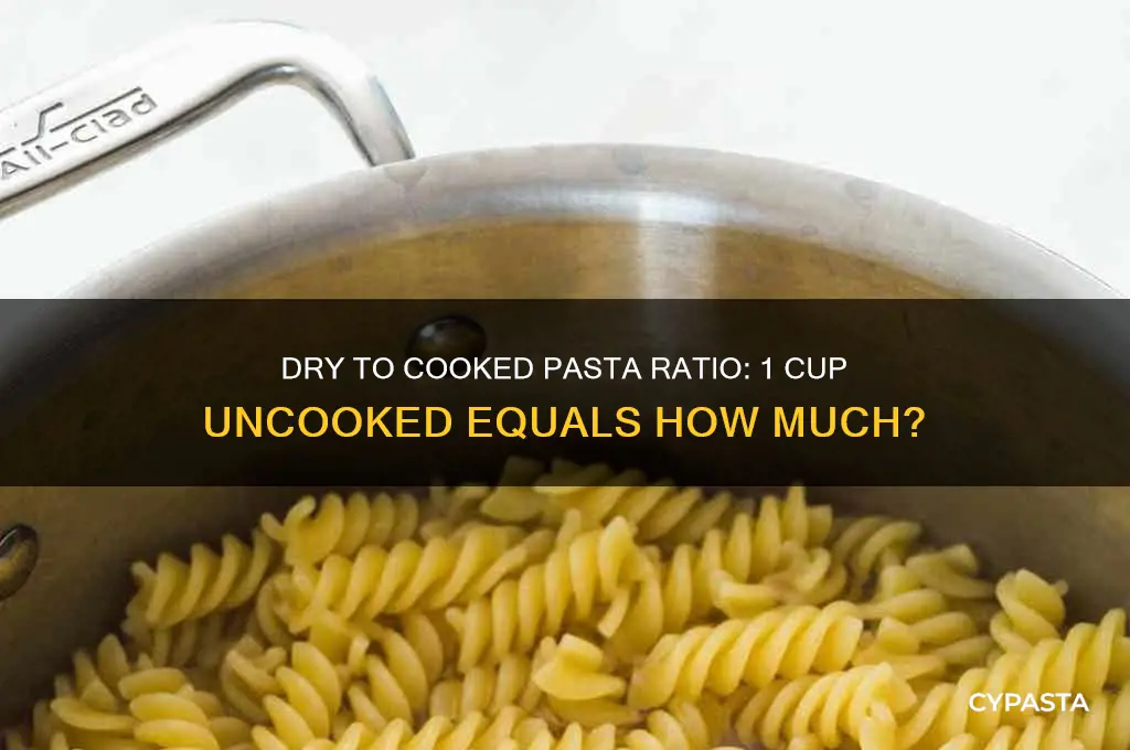 How Much Dry Pasta for 1 Cup Cooked
