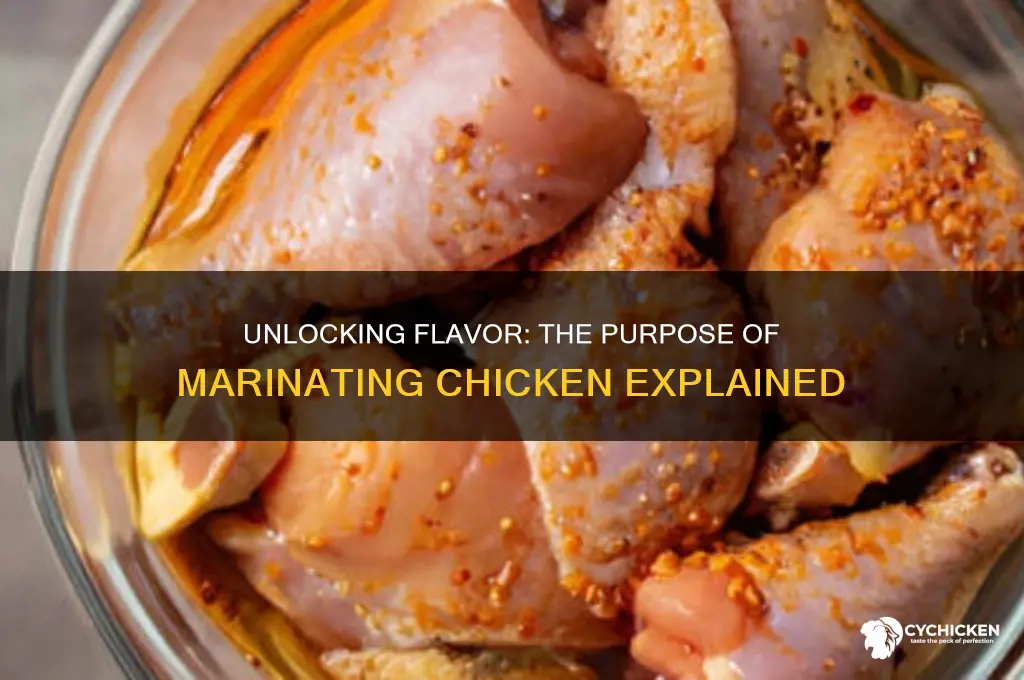 Does Marinating Chicken Work