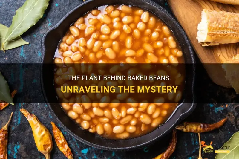 Where Did Baked Beans Come From