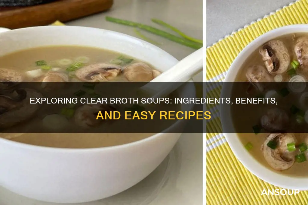 What Are Clear Broth Soups
