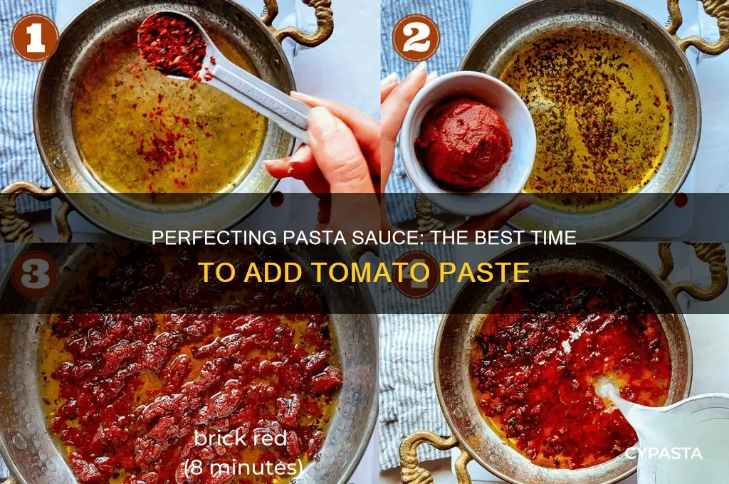 When to Add Tomato Paste to Sauce