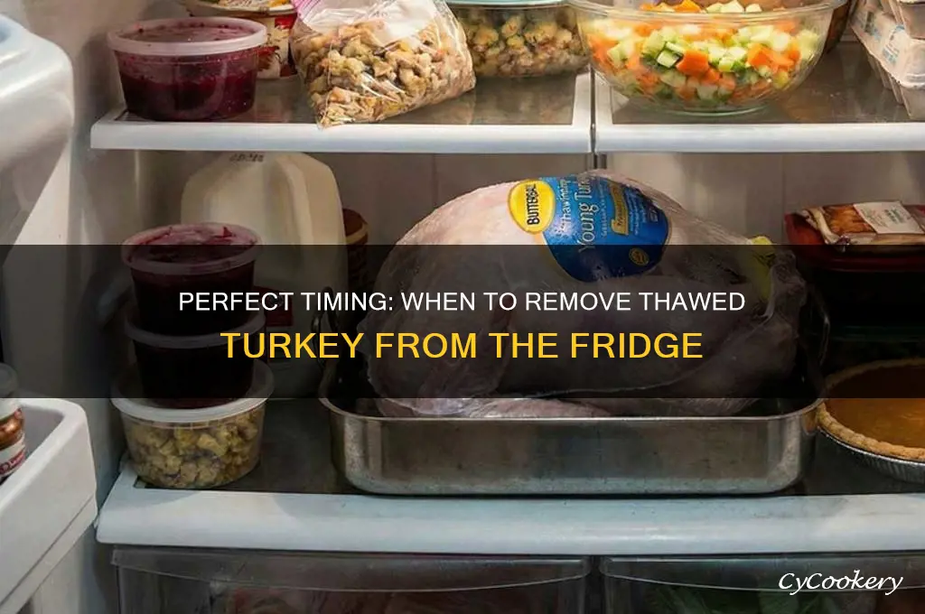 Thawed Turkey in Refrigerator