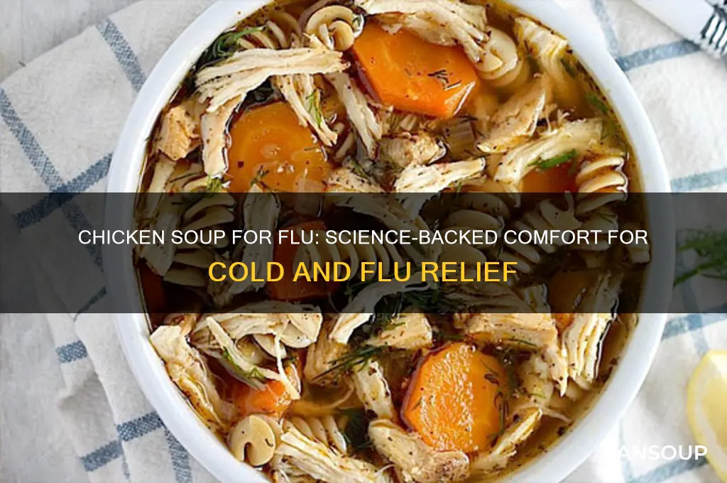 Chicken Soup and Flu