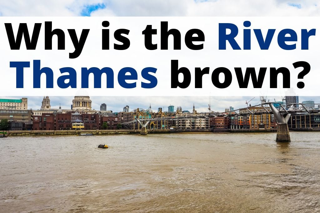 Why Is the River Thames Brown