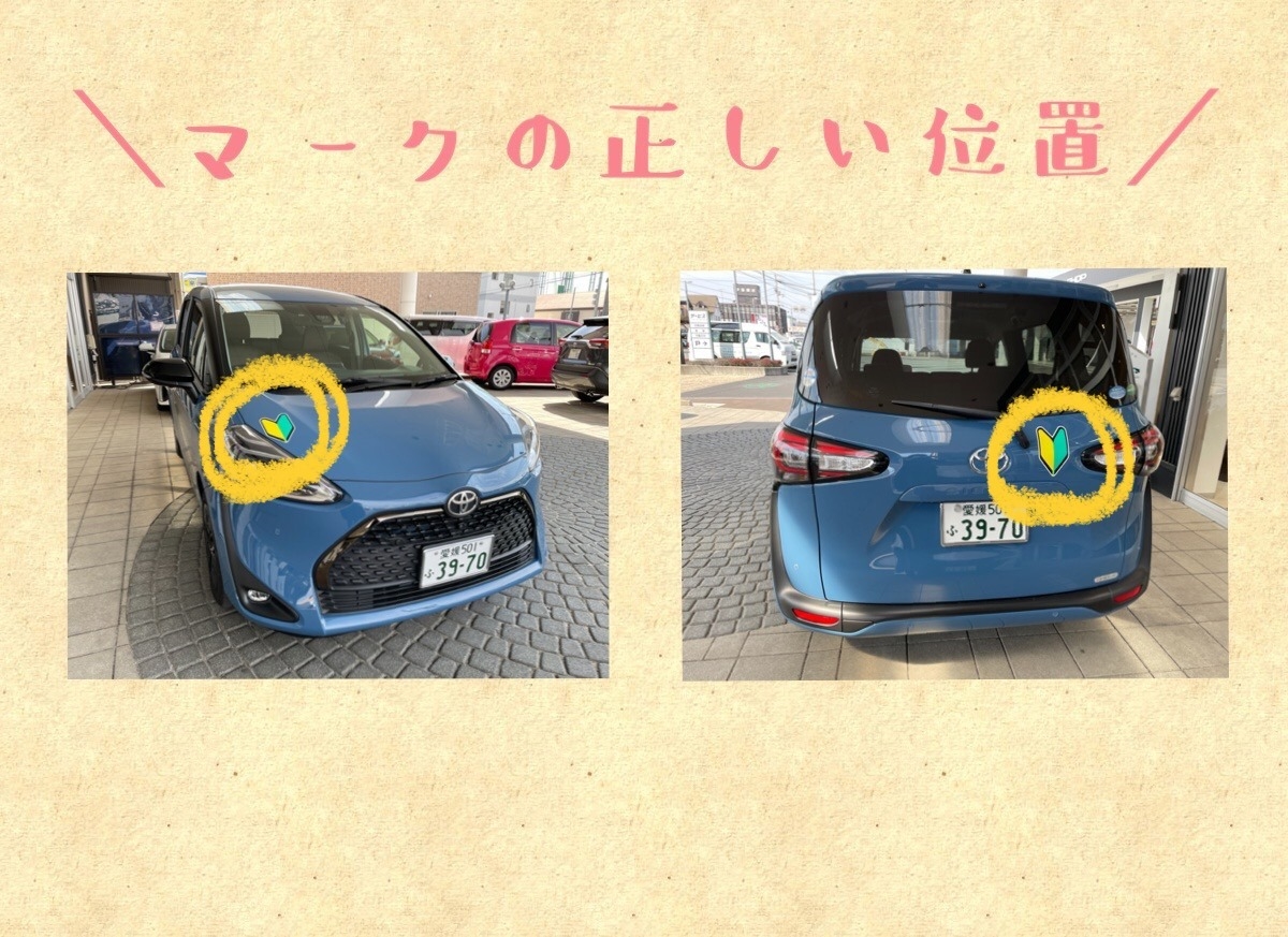 初心者マーク貼る場所の正解！フロント禁止と前後義務の違反ライン