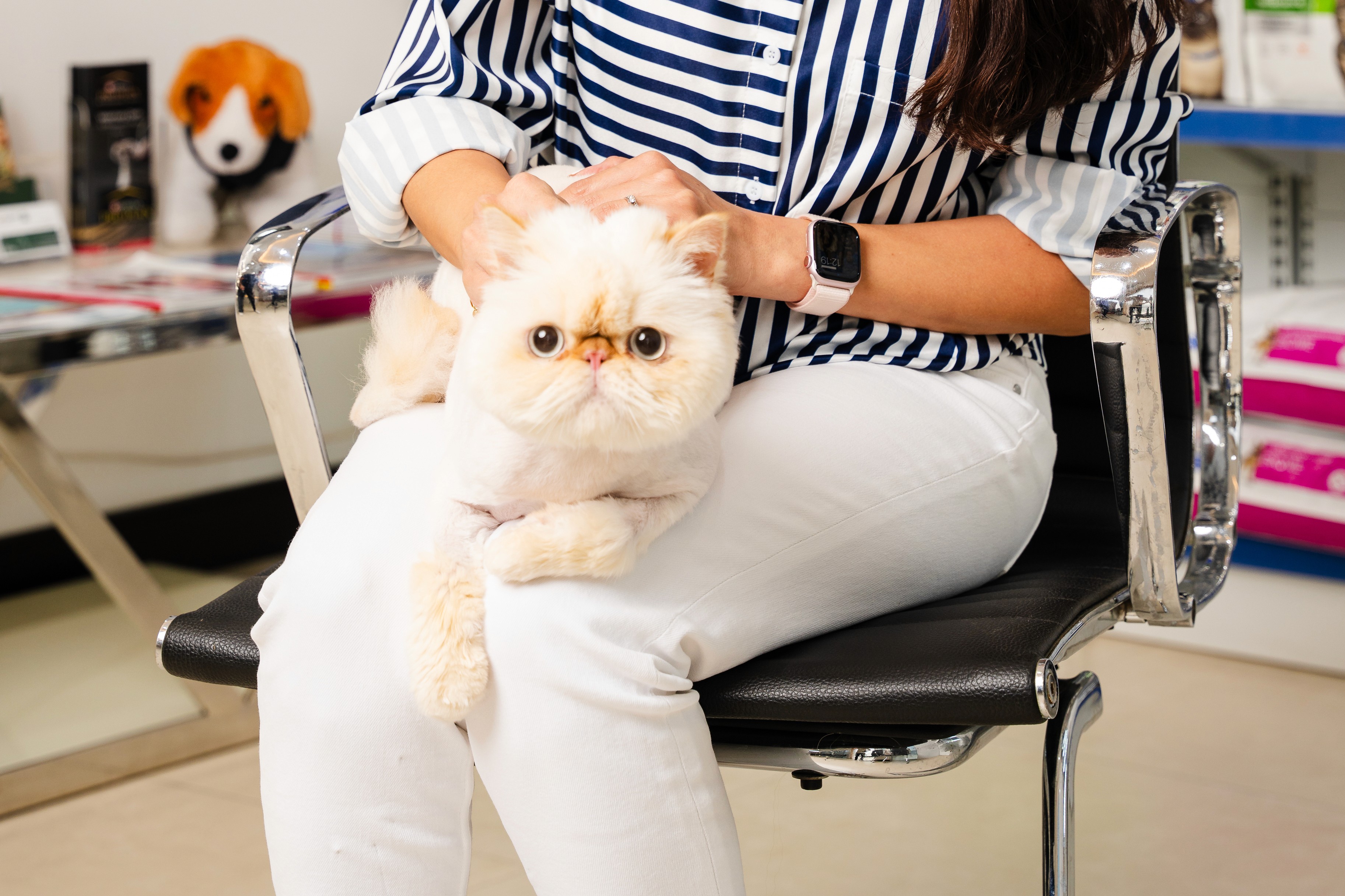 Down Syndrome Cat Pictures