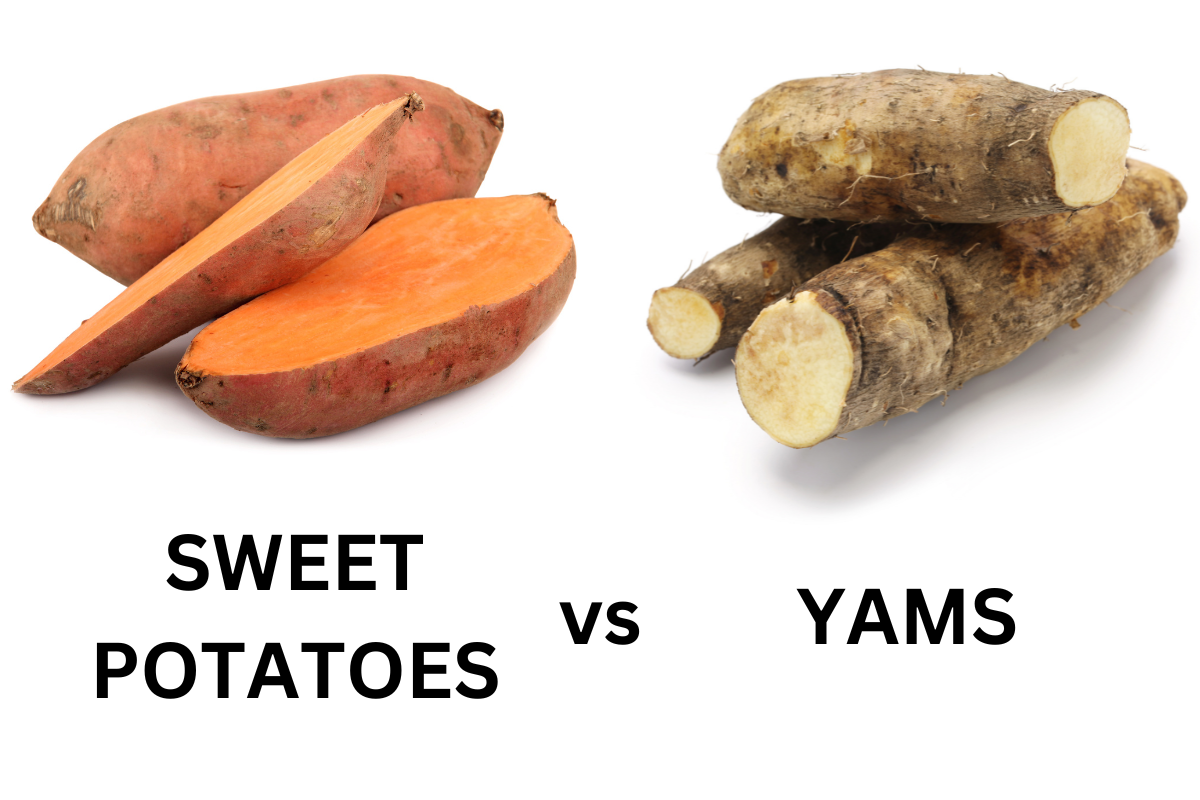 Are Sweet Potatoes and Yams the Same