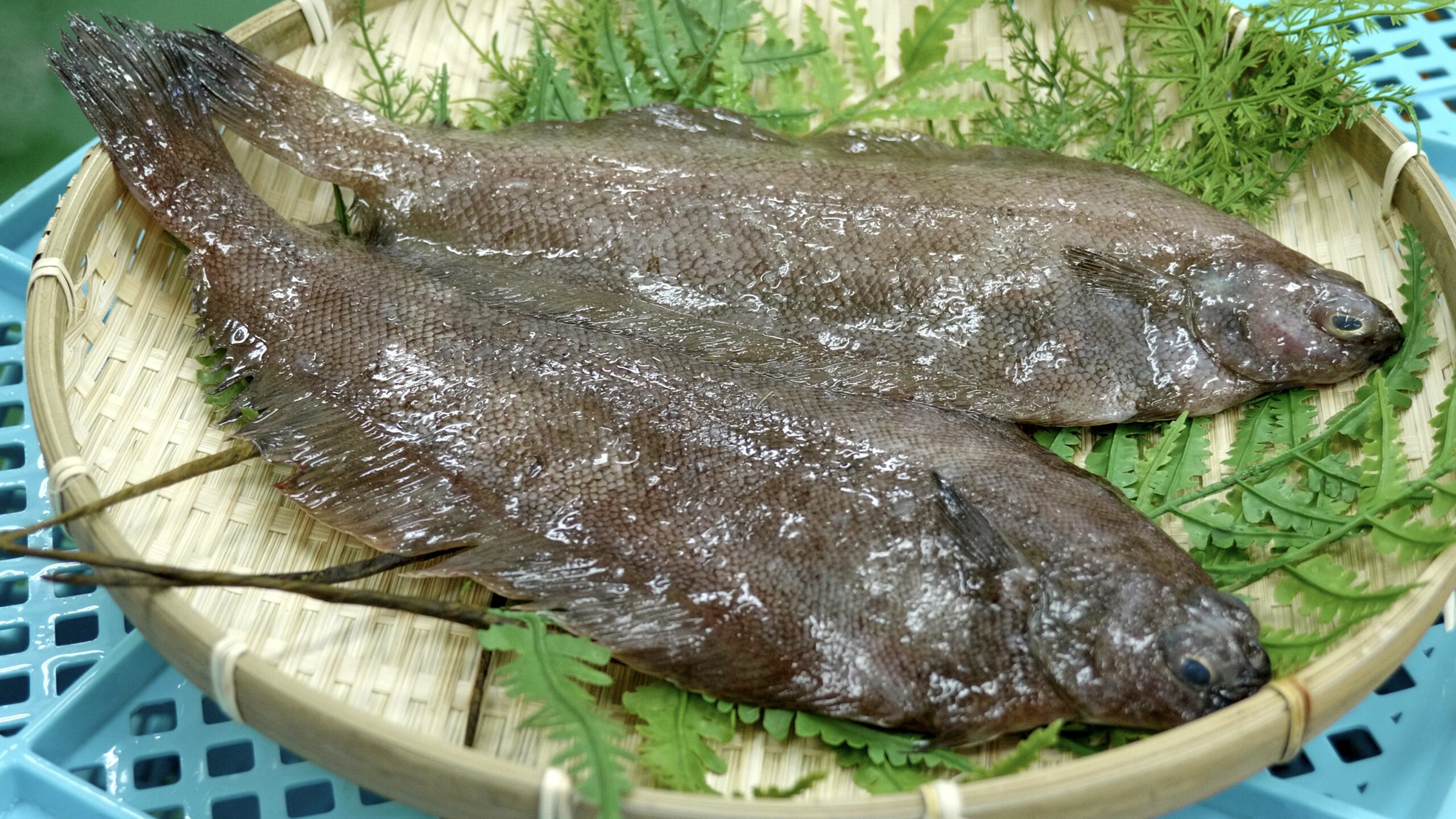 中華の謎「魚柳」の正体とは？名前に柳がつく魚の真相と最新トレンド
