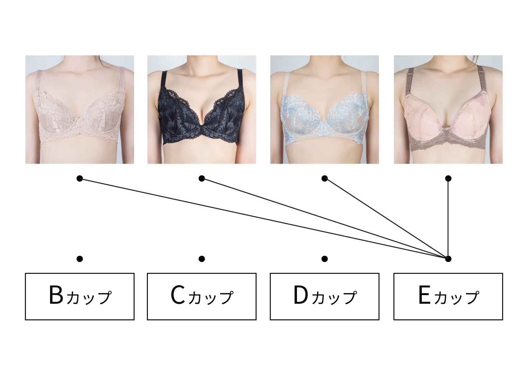 胸のサイズ本当に合ってる？日本人平均と正しい測り方・見た目の違い