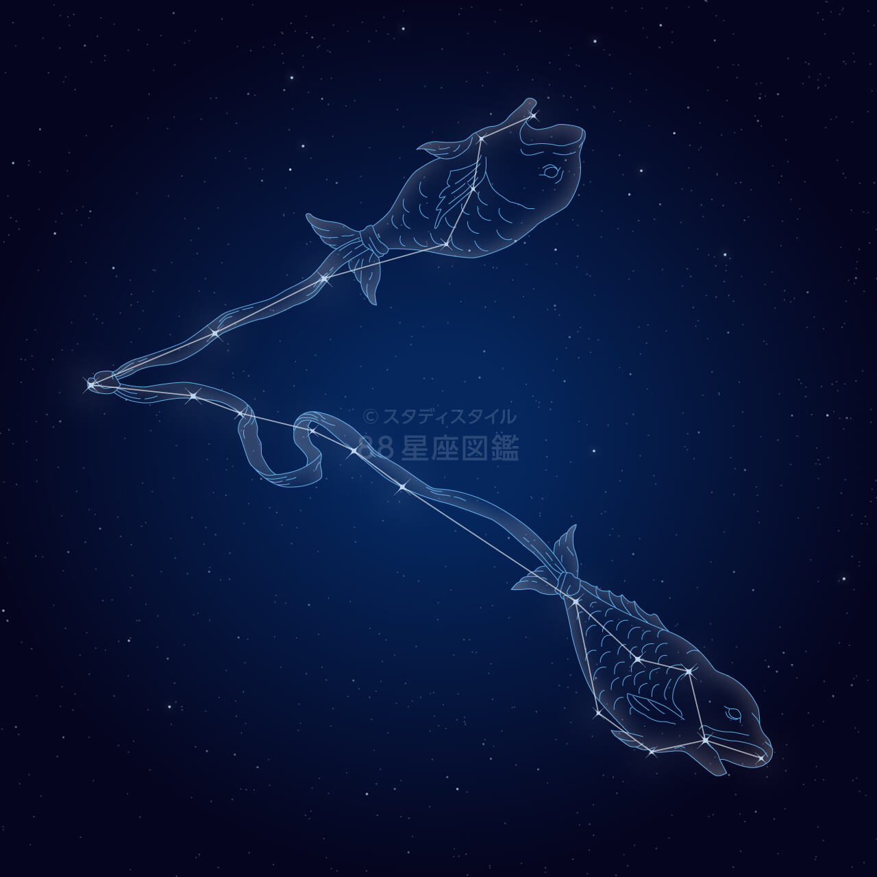 2月19日生まれの星座はどっち？水瓶座と魚座の境目を徹底解剖