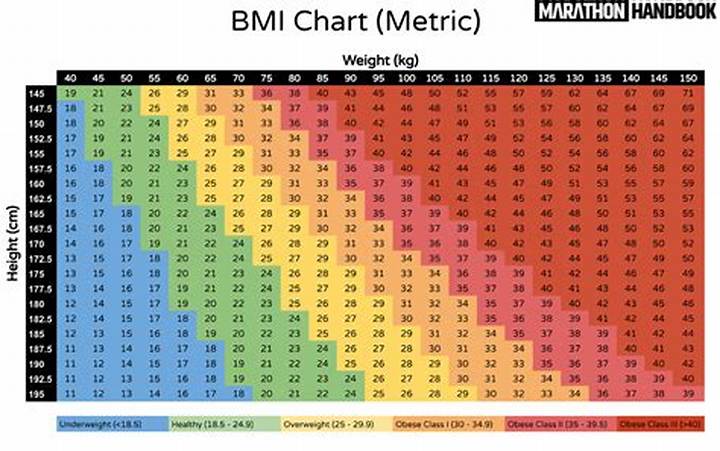 150センチ60キロの見た目は？写真でわかる体型・Bmi・理想体重の全知識