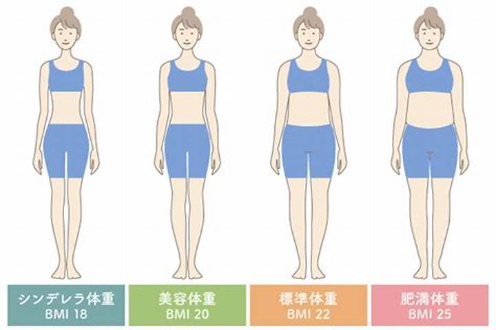 155センチ60キロの見た目は？Bmi・体型・男女別の印象を徹底解説