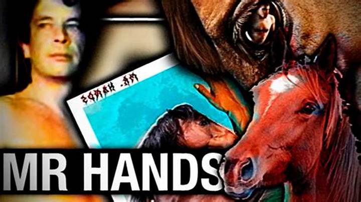 “2 Guys and 1 Horse” Explained: Why the Video Went Viral