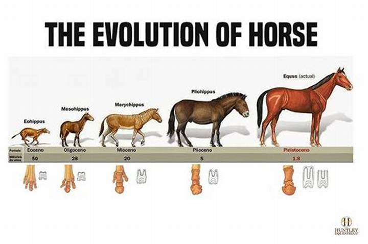 2 Horse One Guy: What It Means, Where It Came From, and Why People Share It