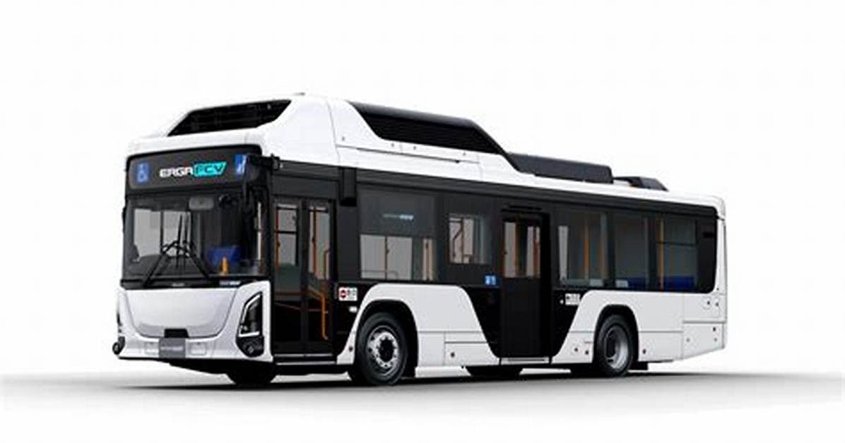 5Sui Erga