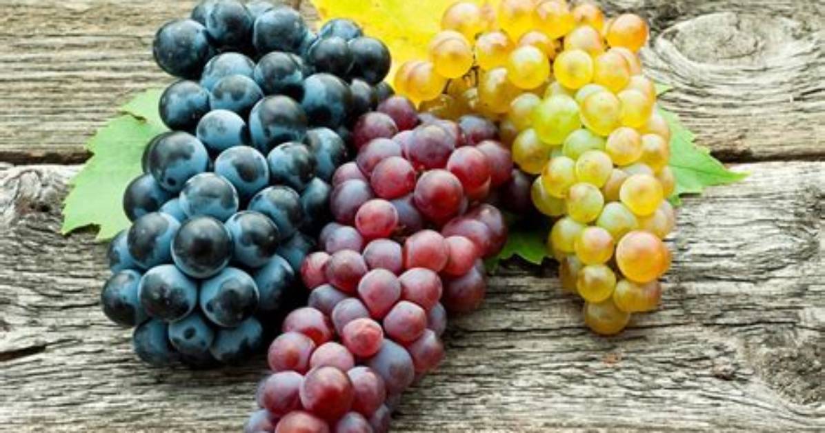 Are Grapes