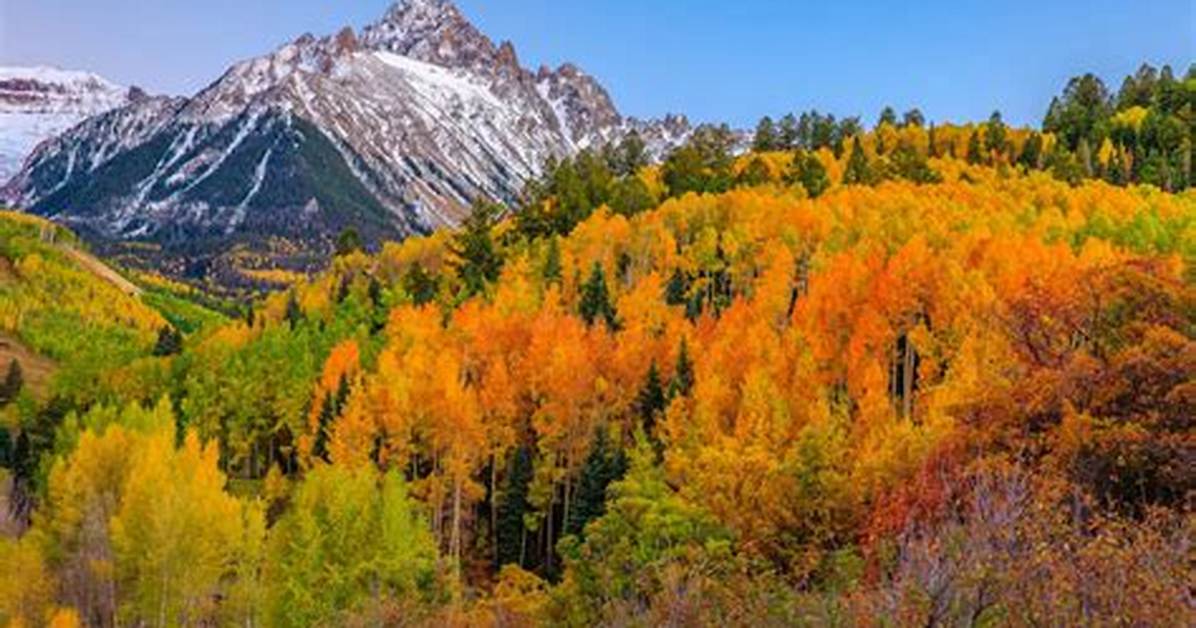 Aspen