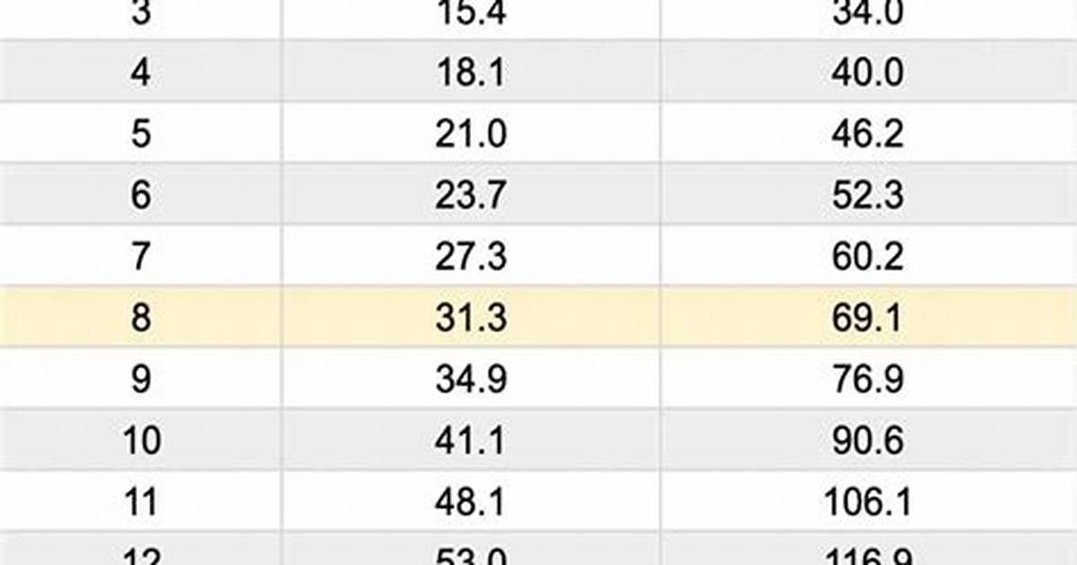 Average Weight Of