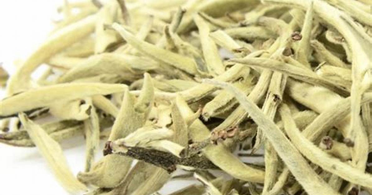 Bai Hao