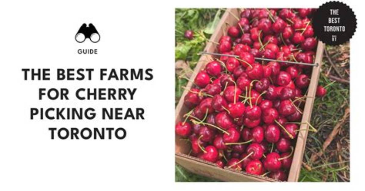 Best Farms To
