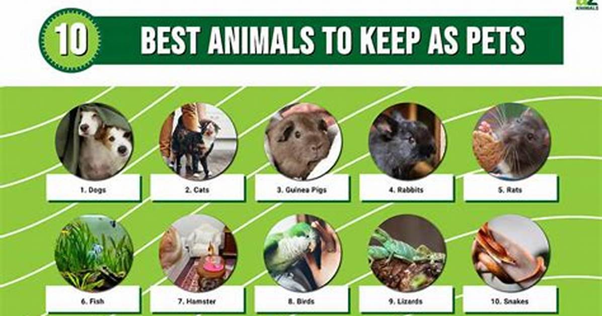 Best Pets In