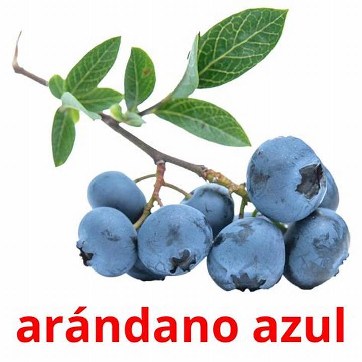 Blueberries En Español: Guía Completa Para Saber Todo Sobre “Arándanos”
