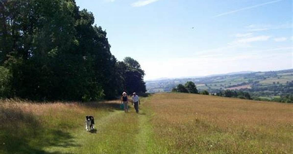 Bromyard Downs