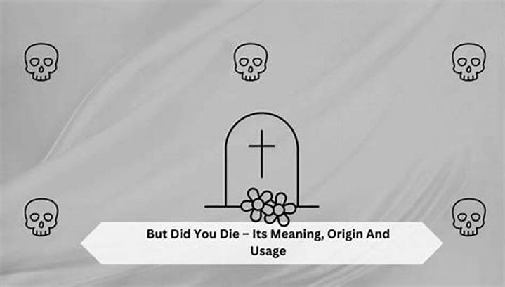 But Did You Die? the Meaning Behind the Phrase—and Why It Keeps Showing Up