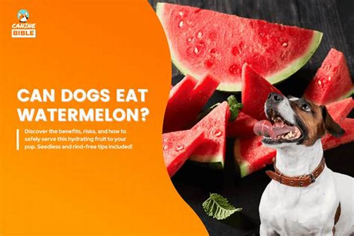 Can Dogs Eat Watermelon? Safety, Portion Size, and Risks