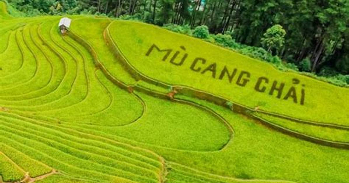 Cang