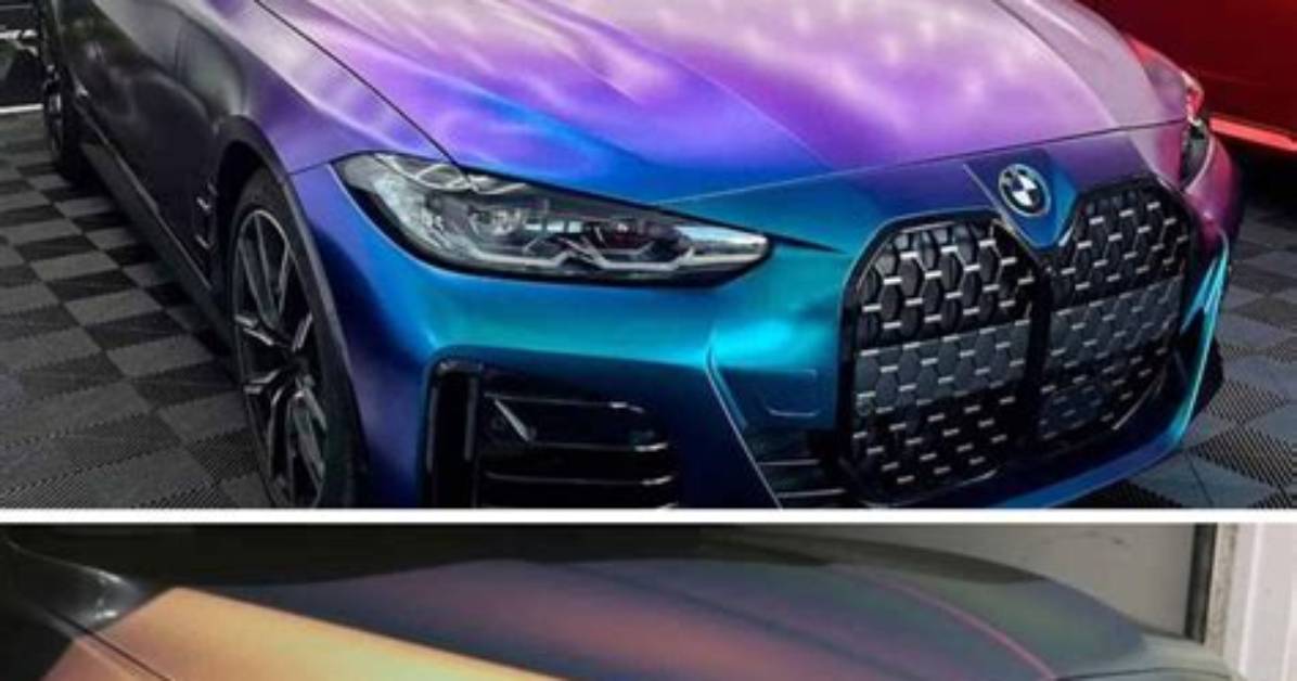 Car Wraps
