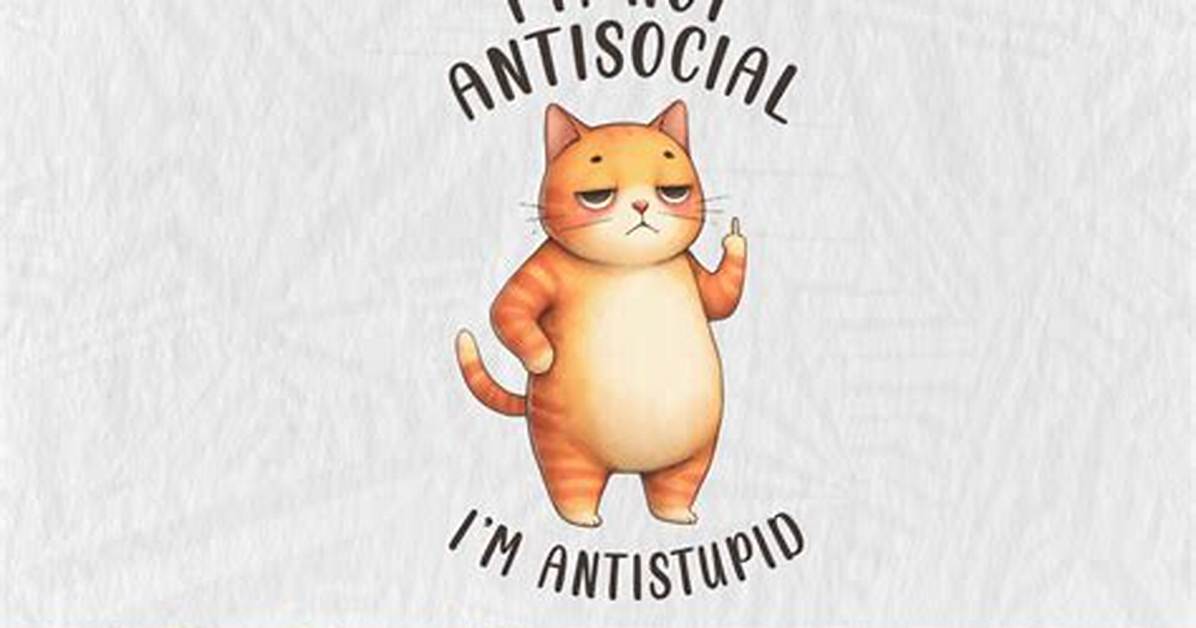 Cat Im Not