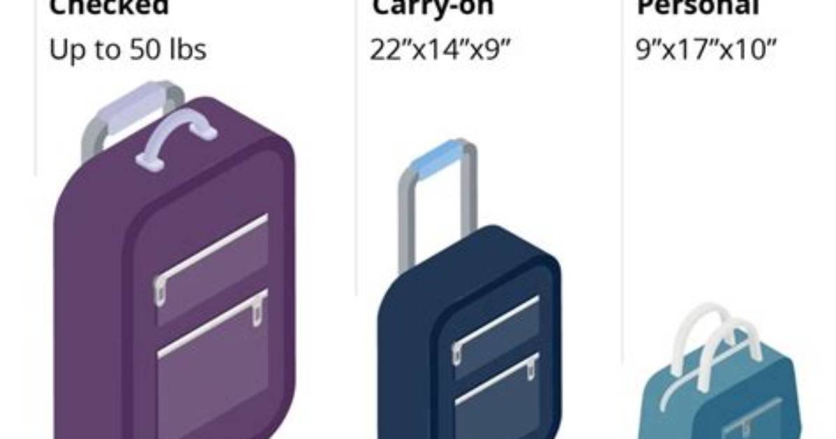 Check in Bag